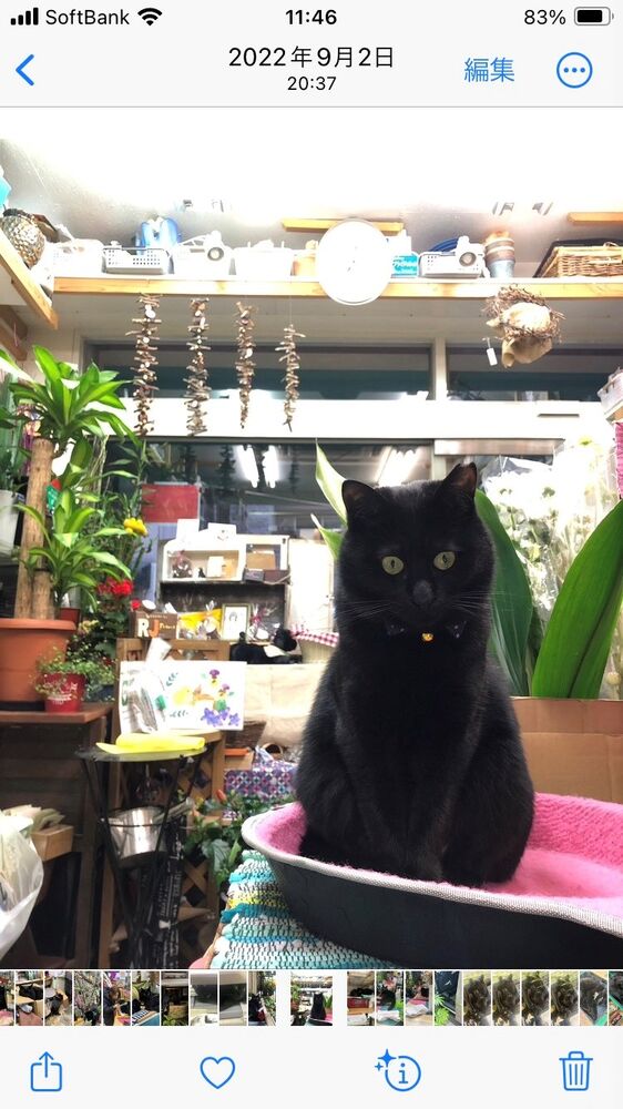 画像1719
