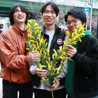 ブログ