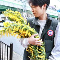 ブログ